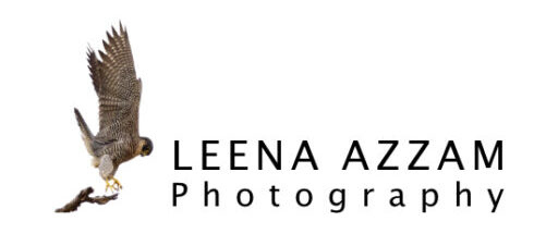 Leena Azzam